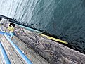 DSCF0754
