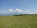 DSC00172