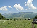 DSC00176