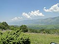 DSC00178