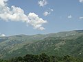 DSC00184