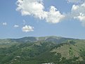 DSC00185