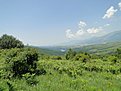 DSC00187