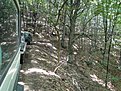 DSC00189