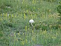 DSC00191