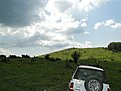 DSC00194