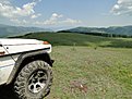 DSC00195