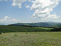DSC00196