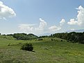 DSC00197