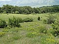 DSC00204