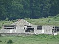 DSC00207