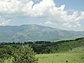 DSC00209