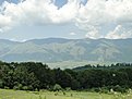 DSC00210
