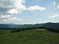 DSC00212