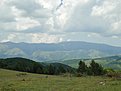 DSC00215