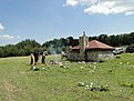 DSC00220