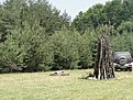 DSC00221
