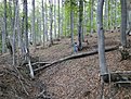 DSC00225