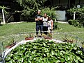 DSC00479
