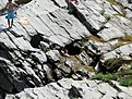 DSC00501