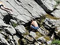 DSC00527