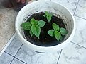 2013 06 21 08.37.03