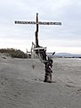 DSC06391