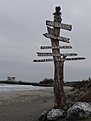 DSC06390
