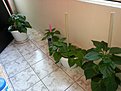 2013 08 03 12.07.45