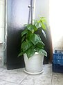 2013 08 22 09.13.46