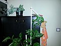 2013 09 09 23.04.21