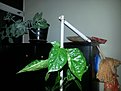 2013 09 09 23.05.16