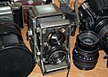 Mamiya