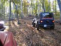 IMG 0369