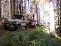 IMG 0392