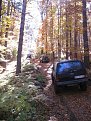 IMG 0394