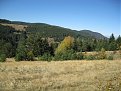 IMG 0401