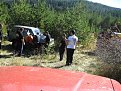 IMG 0431