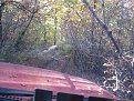 IMG 0445