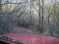 IMG 0446