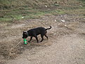 DSC02121http://www.offroad-bulgaria.com/album.php?albumid=3128&attachmentid=651668