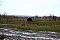 IMG 0713