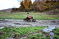 IMG 0753