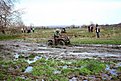 IMG 0756