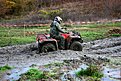 IMG 0757