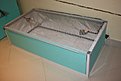 IMG 0793