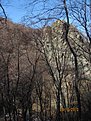 IMG 7111