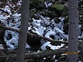 IMG 7118