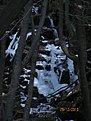 IMG 7120