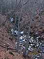 IMG 7121